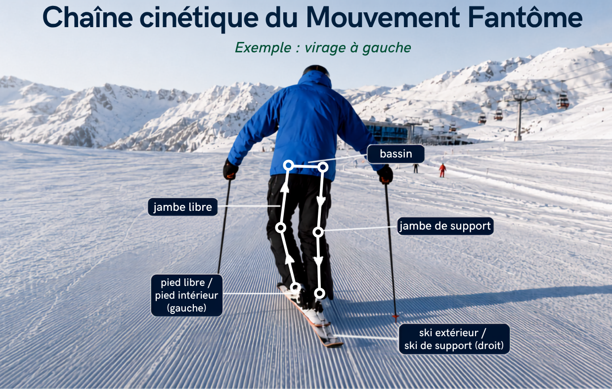 Chaîne cinétique du mouvement fantôme en ski, du pied libre au ski de support